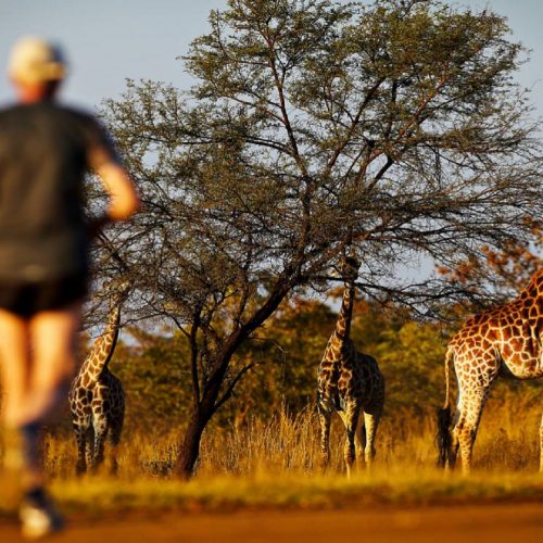 Especialistas viajes sur de África