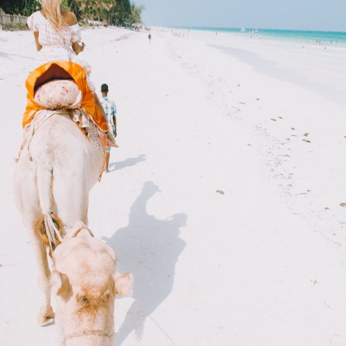 Especialistas Namibia