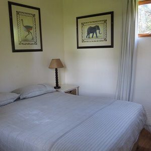 Voluntariado para profesores