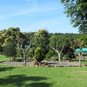 Voluntariado para profesores