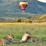 Safari en globo sobre Pilanesberg