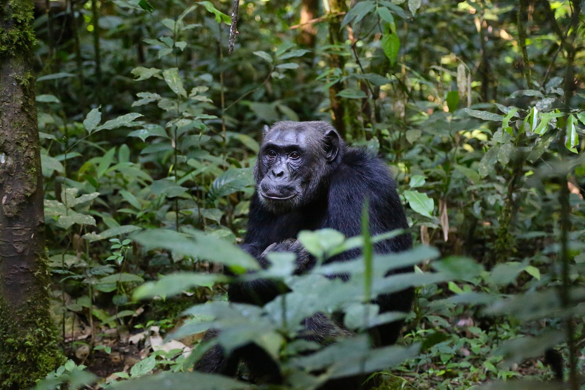 Guía viaje Uganda